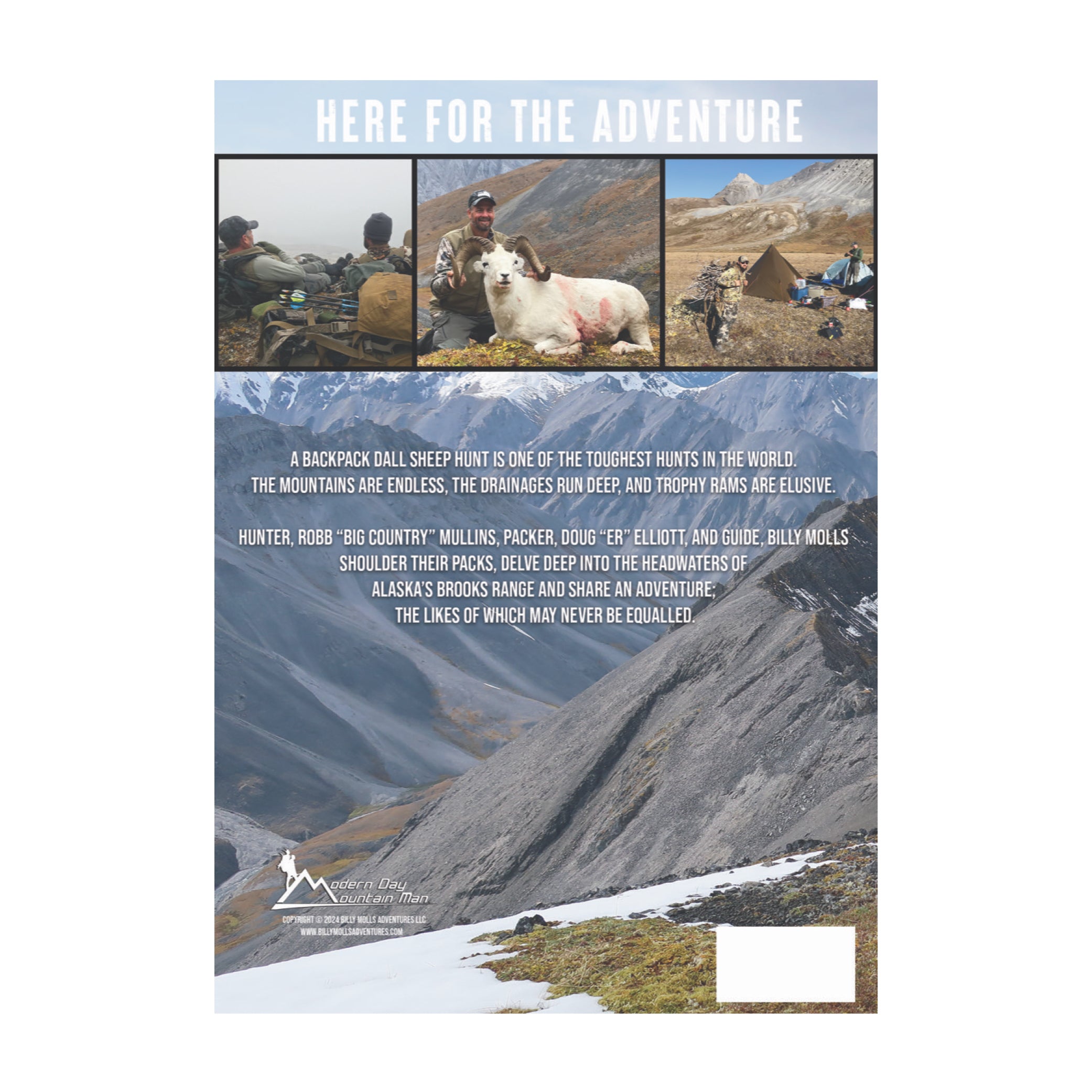 Here For The Adventure image 1