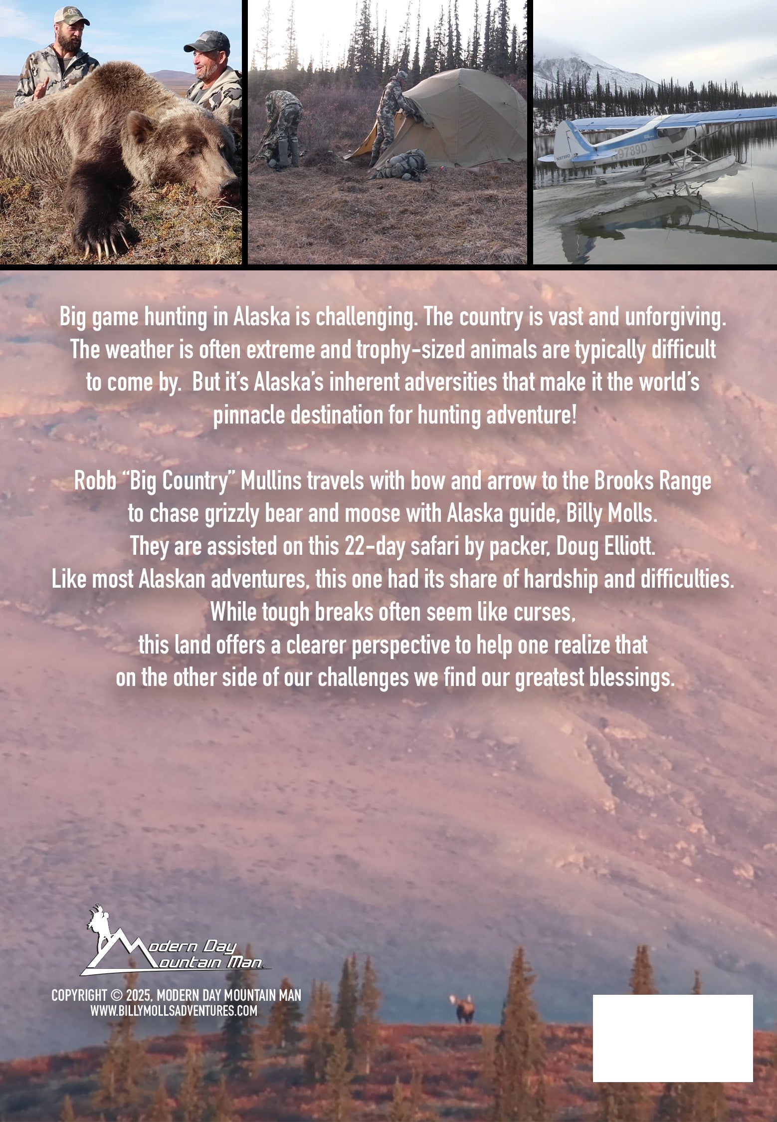 The Blessing And The Curse