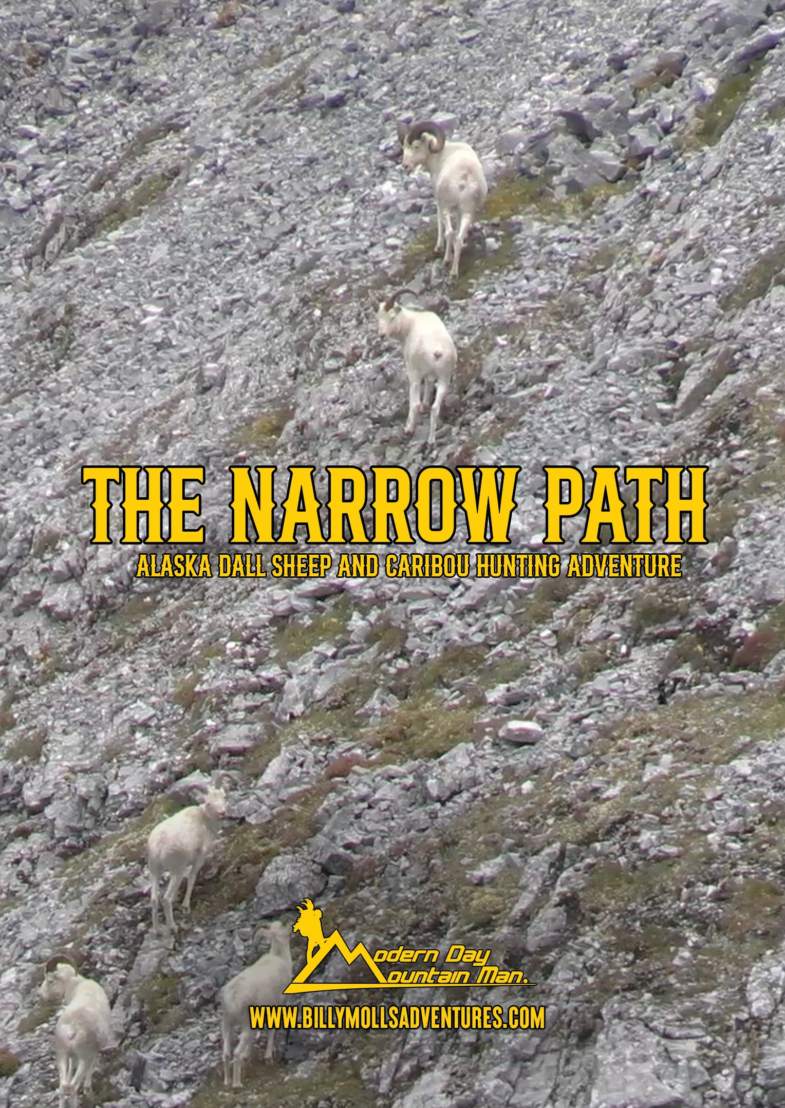 The Narrow Path