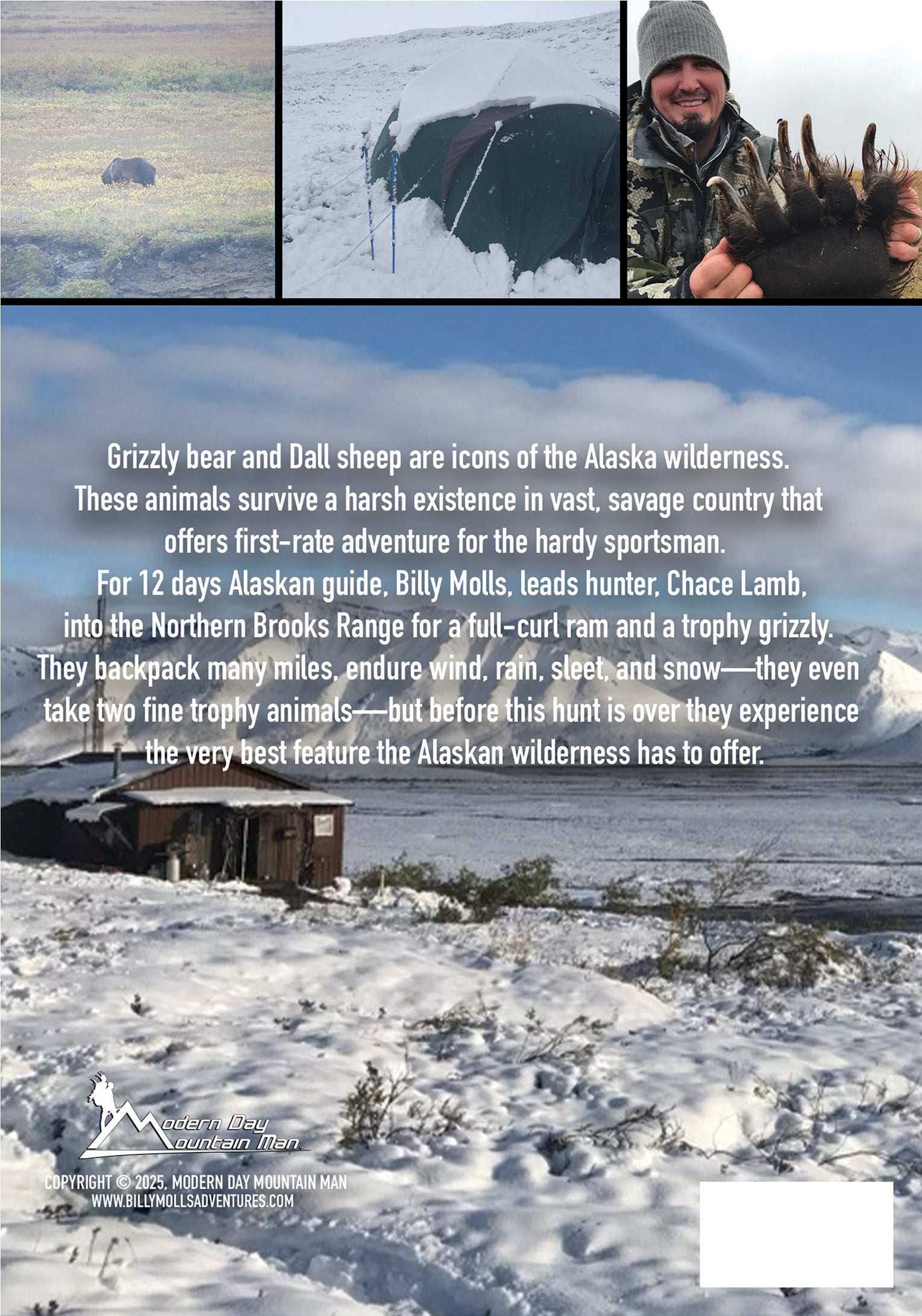 Voice In The Wilderness