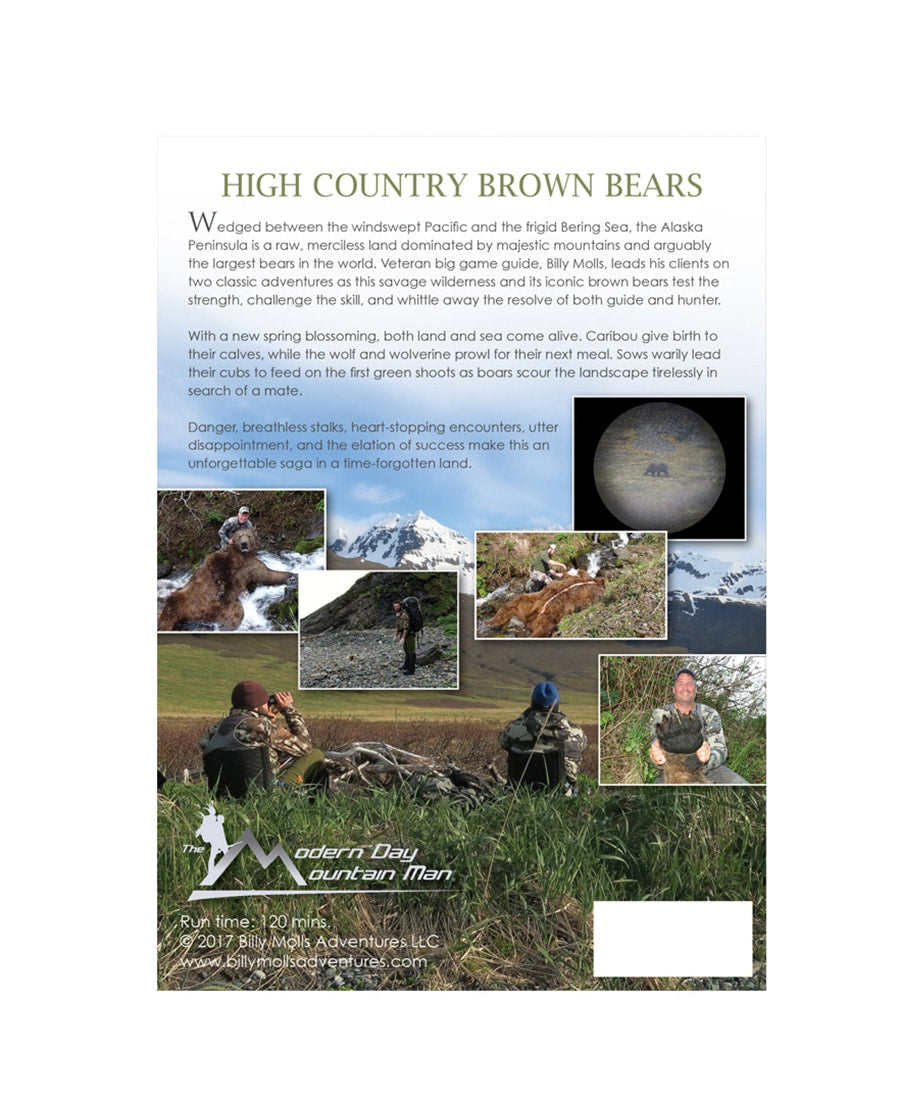 High Country Brown Bears image 1