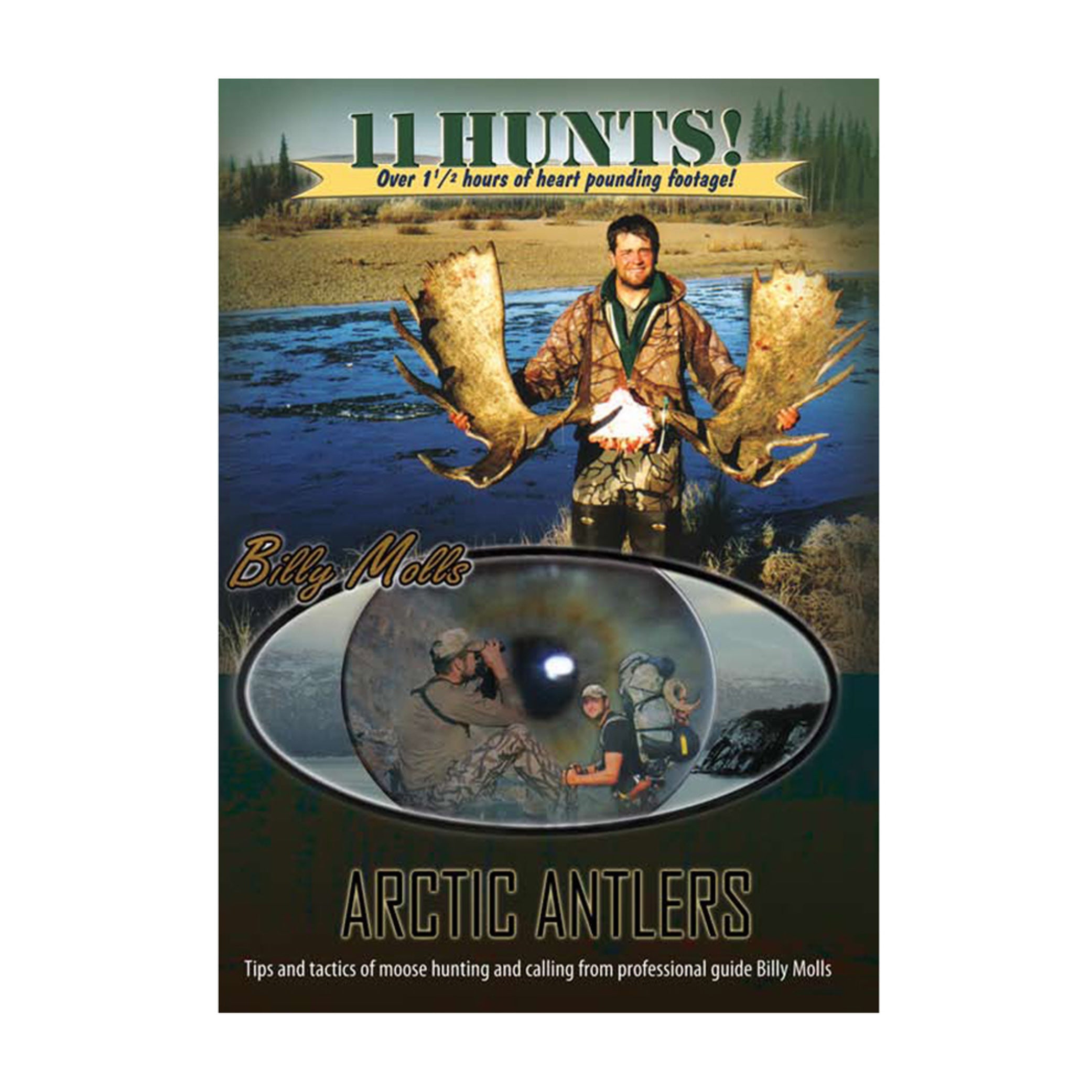 Arctic Antlers image 0