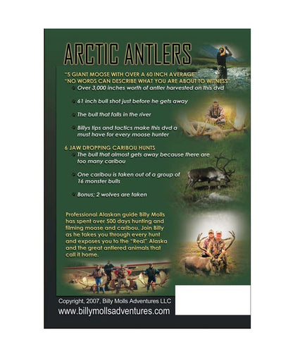 Arctic Antlers image 1